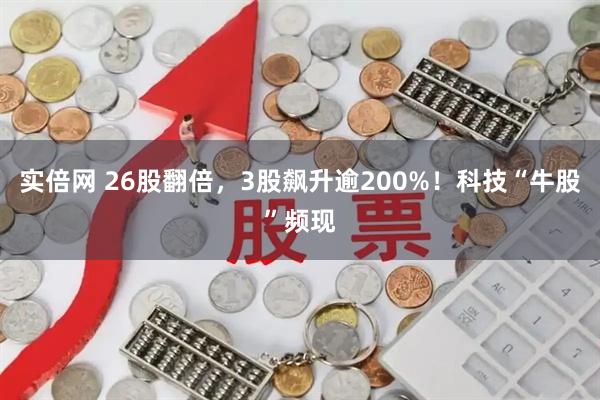 实倍网 26股翻倍，3股飙升逾200%！科技“牛股”频现