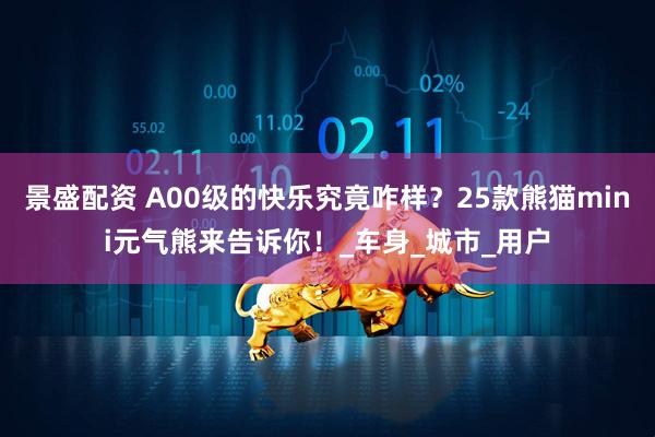 景盛配资 A00级的快乐究竟咋样？25款熊猫mini元气熊来告诉你！_车身_城市_用户