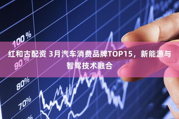 红和古配资 3月汽车消费品牌TOP15，新能源与智驾技术融合
